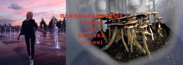 шишки Белоозёрский