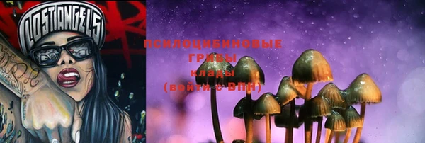стафф Богданович