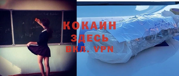 шишки Белоозёрский