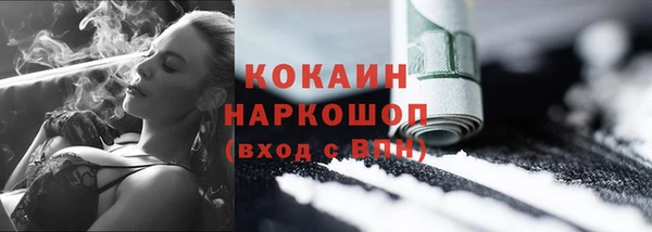 шишки Белоозёрский