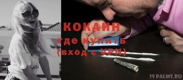 сатива Строитель