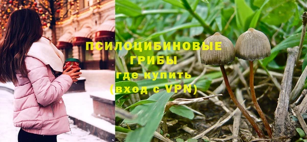 дживик Белокуриха