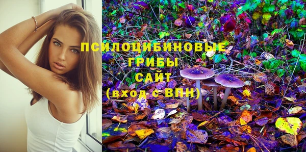 мескалин Богородицк