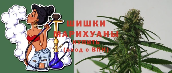 стафф Богданович