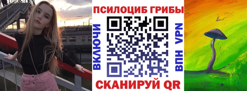 Псилоцибиновые грибы Psilocybine cubensis  Краснокамск 
