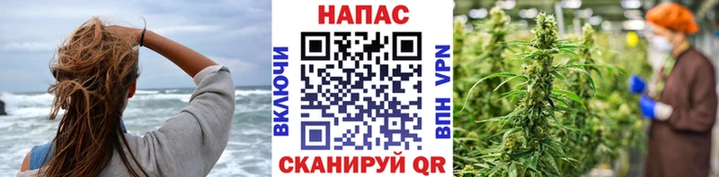 Конопля планчик  Краснокамск 